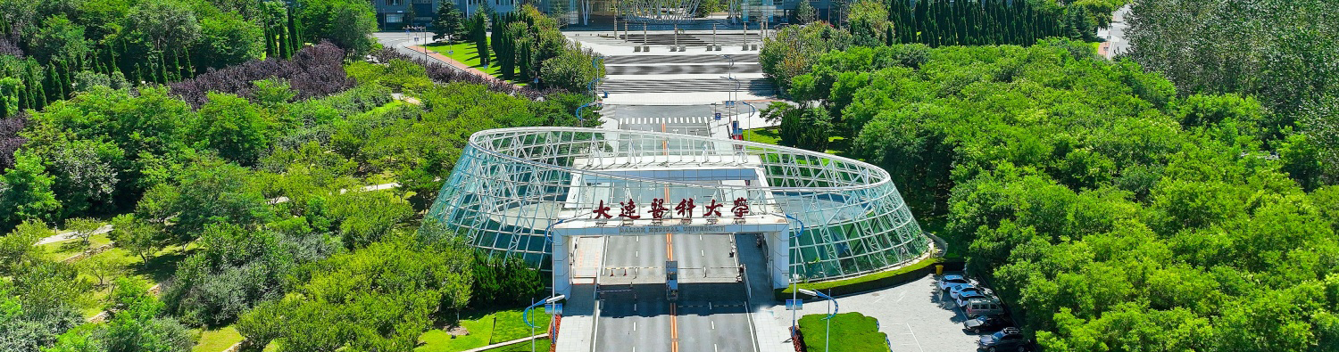 发展战略